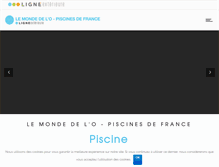 Tablet Screenshot of lemondedelo.com